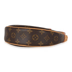 Louis Vuitton Monogram Canvas Loop Bag