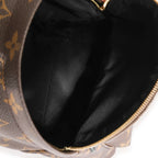 Louis Vuitton Louis Vuitton Monogram Canvas Palm Springs Mini Backpack