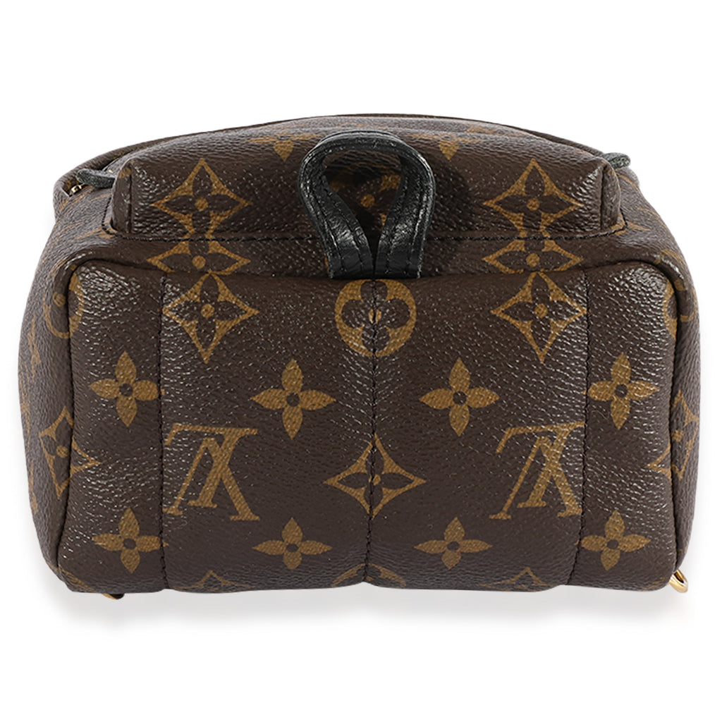 Louis Vuitton Louis Vuitton Monogram Canvas Palm Springs Mini Backpack
