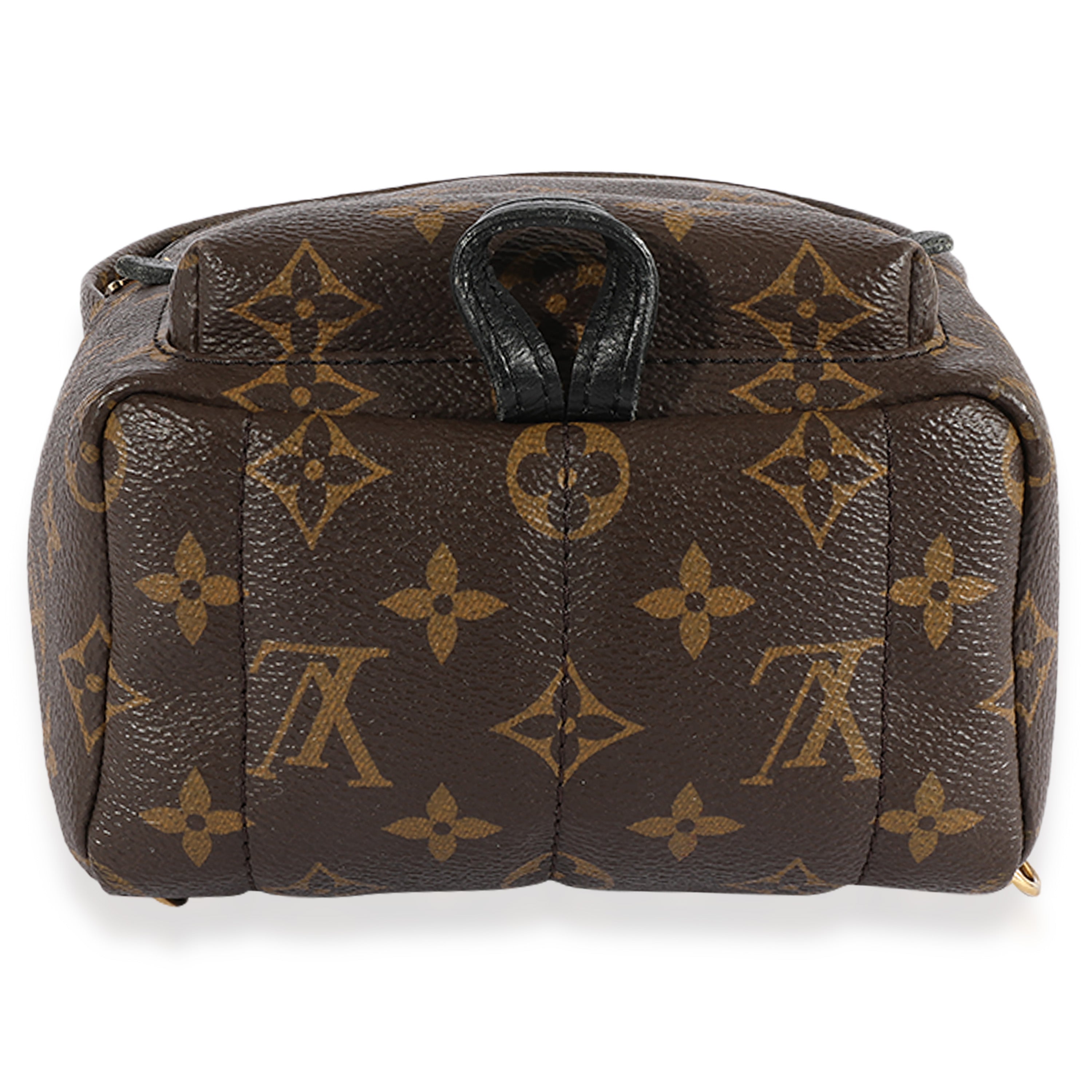 Louis Vuitton Louis Vuitton Monogram Canvas Palm Springs Mini Backpack