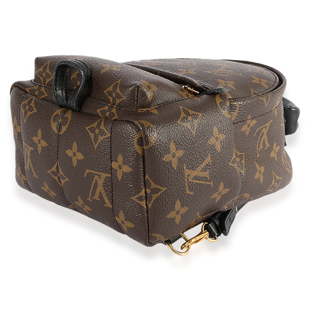 Louis Vuitton Louis Vuitton Monogram Canvas Palm Springs Mini Backpack