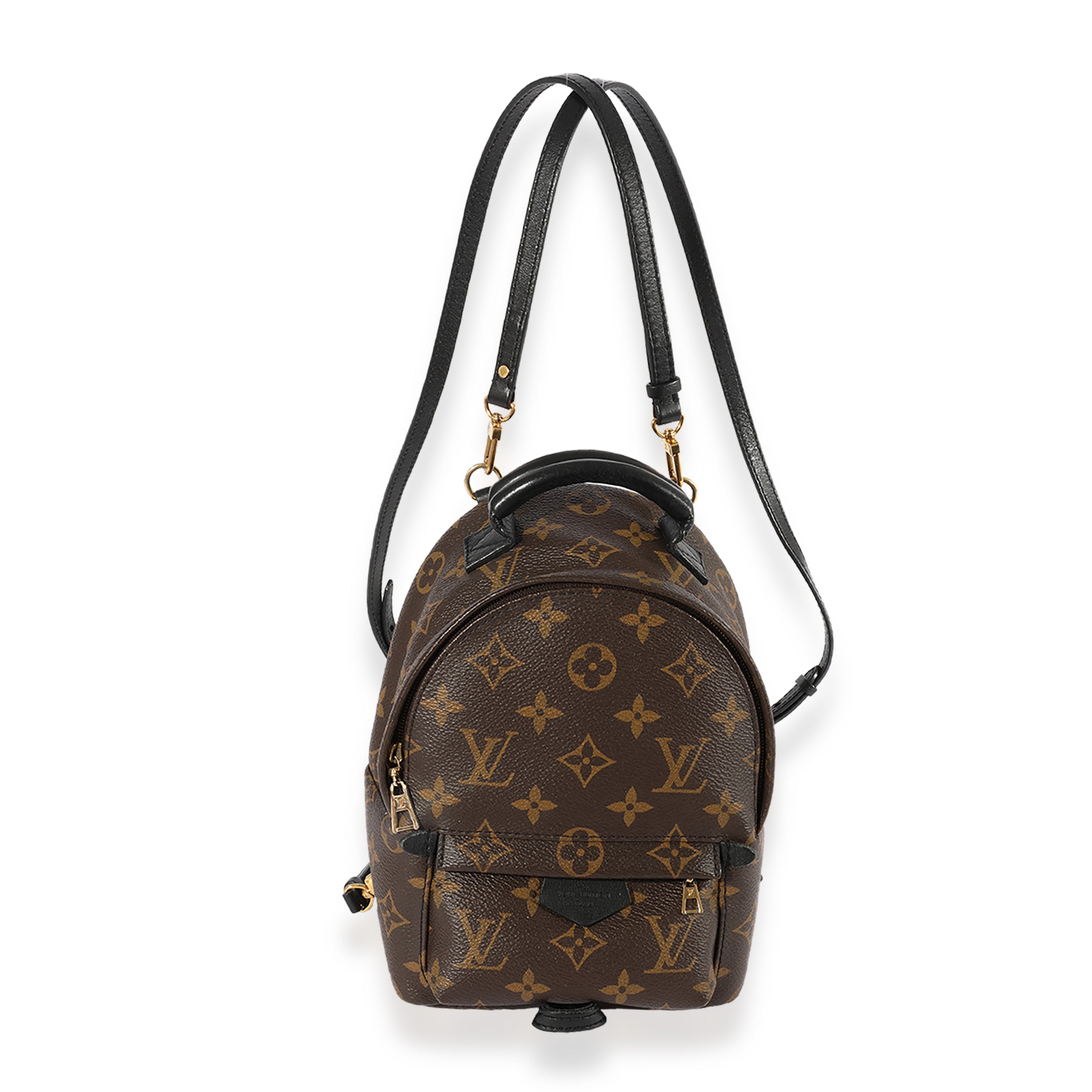 Louis Vuitton Louis Vuitton Monogram Canvas Palm Springs Mini Backpack