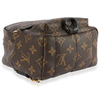 Louis Vuitton Louis Vuitton Monogram Canvas Palm Springs Mini Backpack