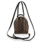 Louis Vuitton Louis Vuitton Monogram Canvas Palm Springs Mini Backpack