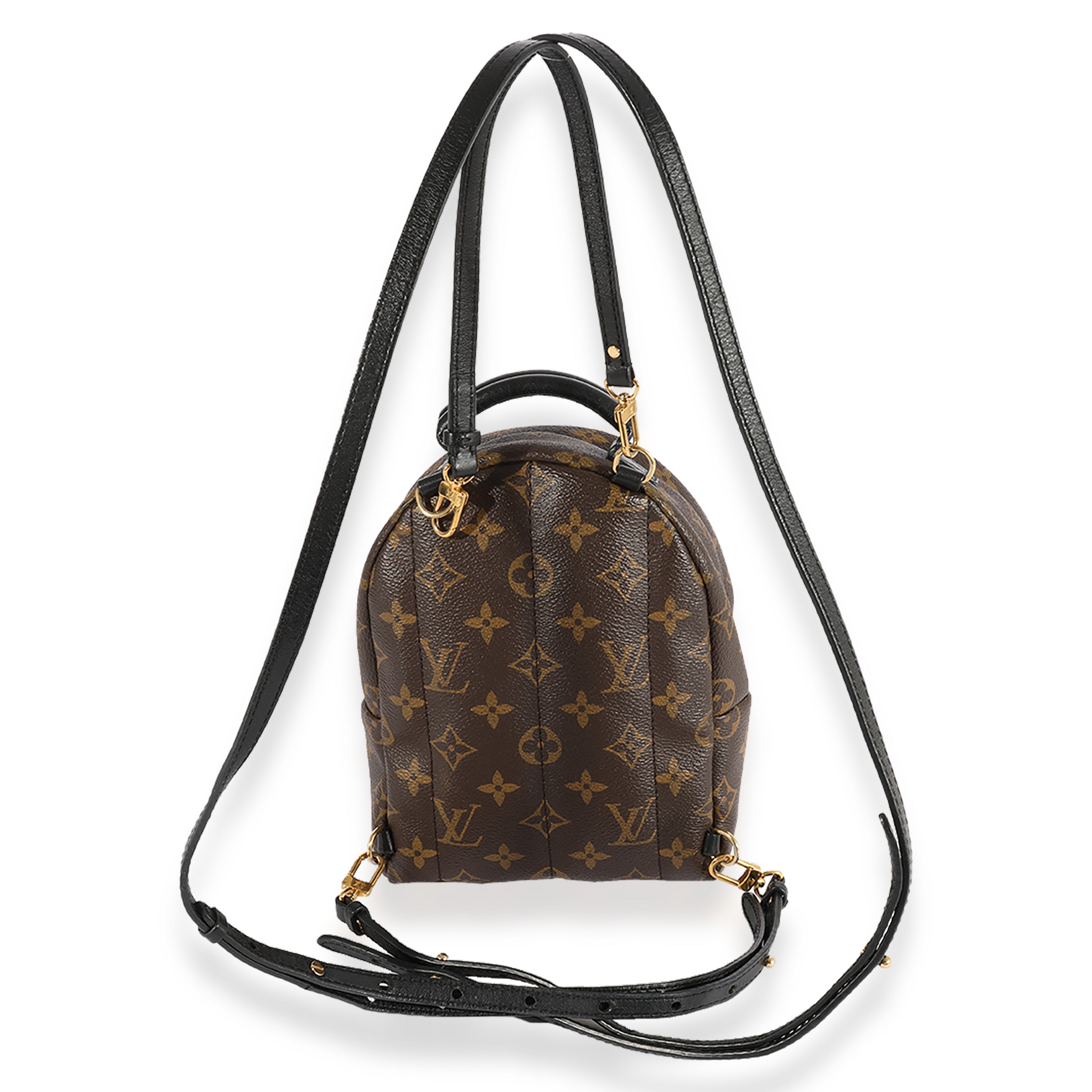 Louis Vuitton Louis Vuitton Monogram Canvas Palm Springs Mini Backpack