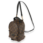 Louis Vuitton Louis Vuitton Monogram Canvas Palm Springs Mini Backpack