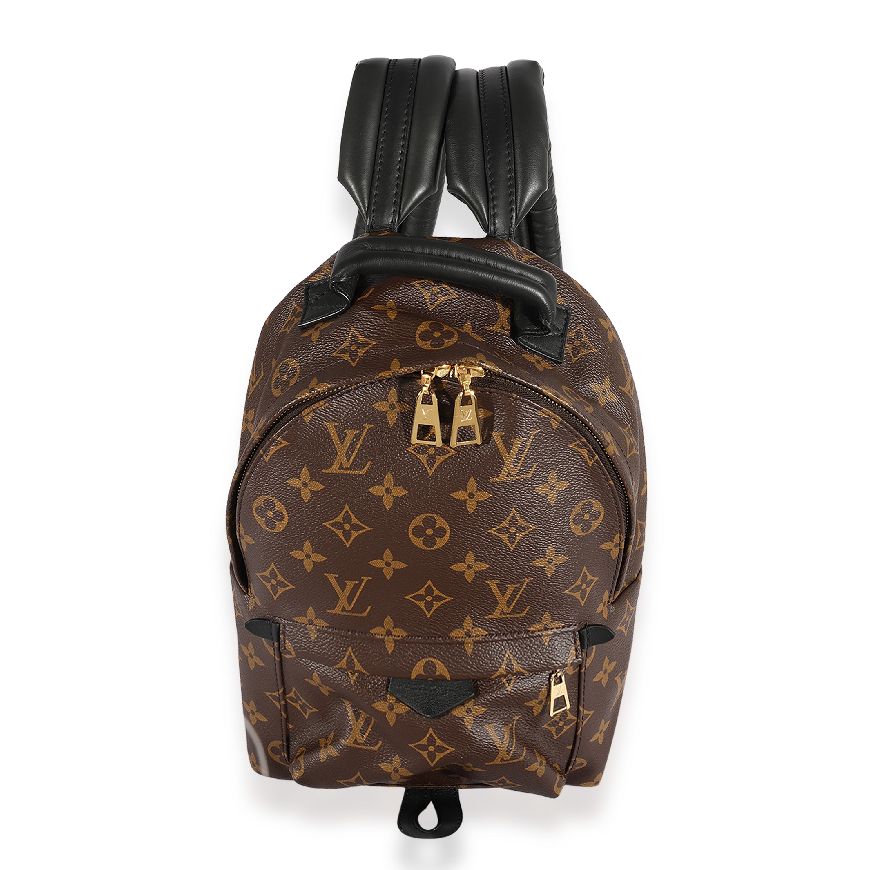 Louis Vuitton Louis Vuitton Monogram Canvas Palm Springs PM