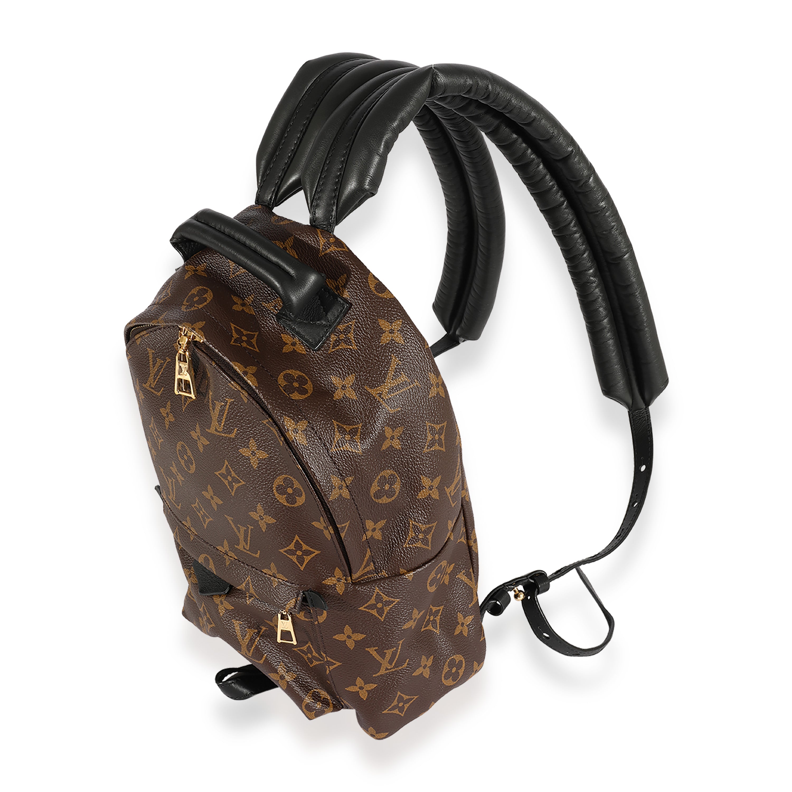 Louis Vuitton Louis Vuitton Monogram Canvas Palm Springs PM