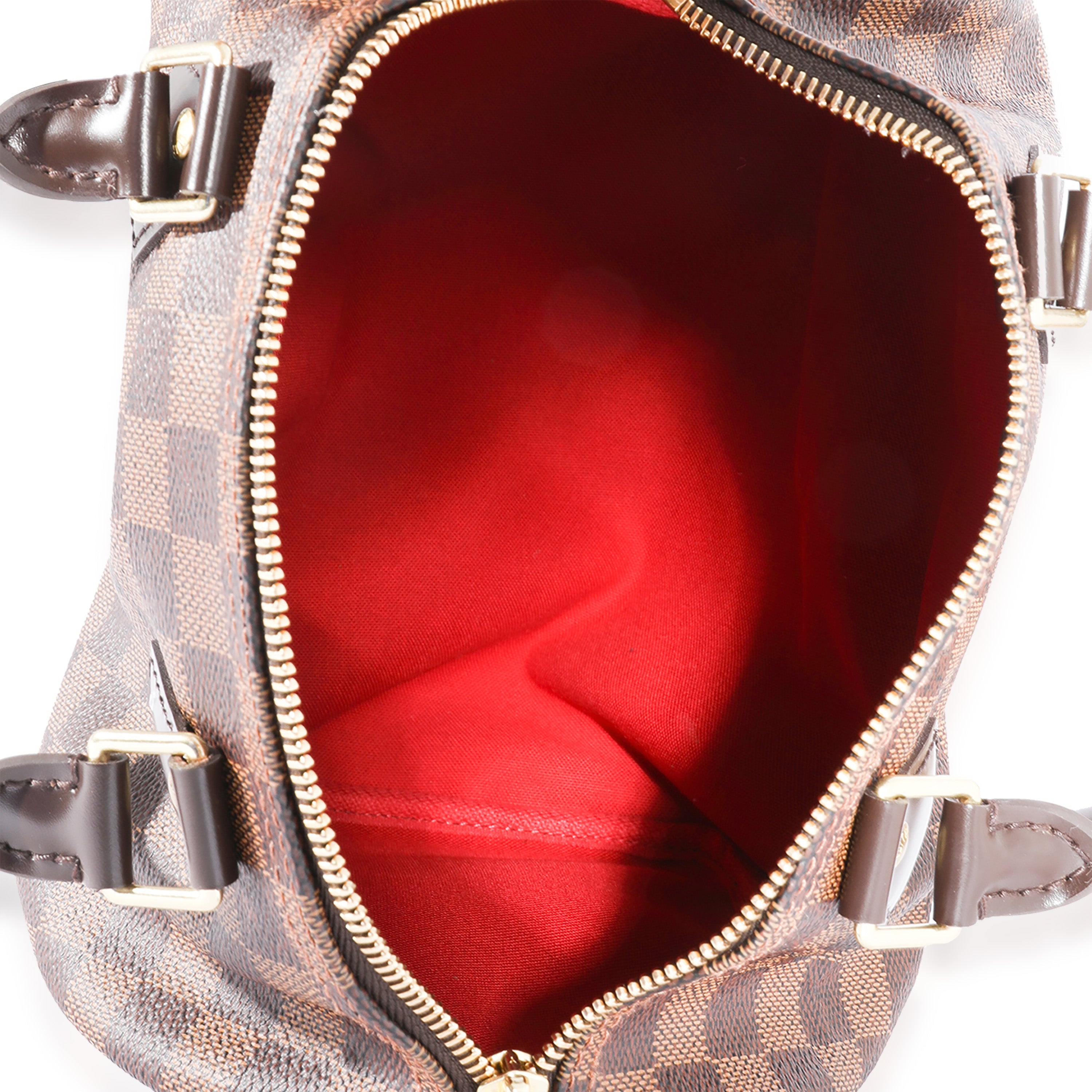 Louis Vuitton Louis Vuitton Damier Ebene Speedy 25