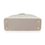 Louis Vuitton Louis Vuitton Taupe Leather Since 1854 Capucines BB