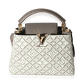 Louis Vuitton Louis Vuitton Taupe Leather Since 1854 Capucines BB