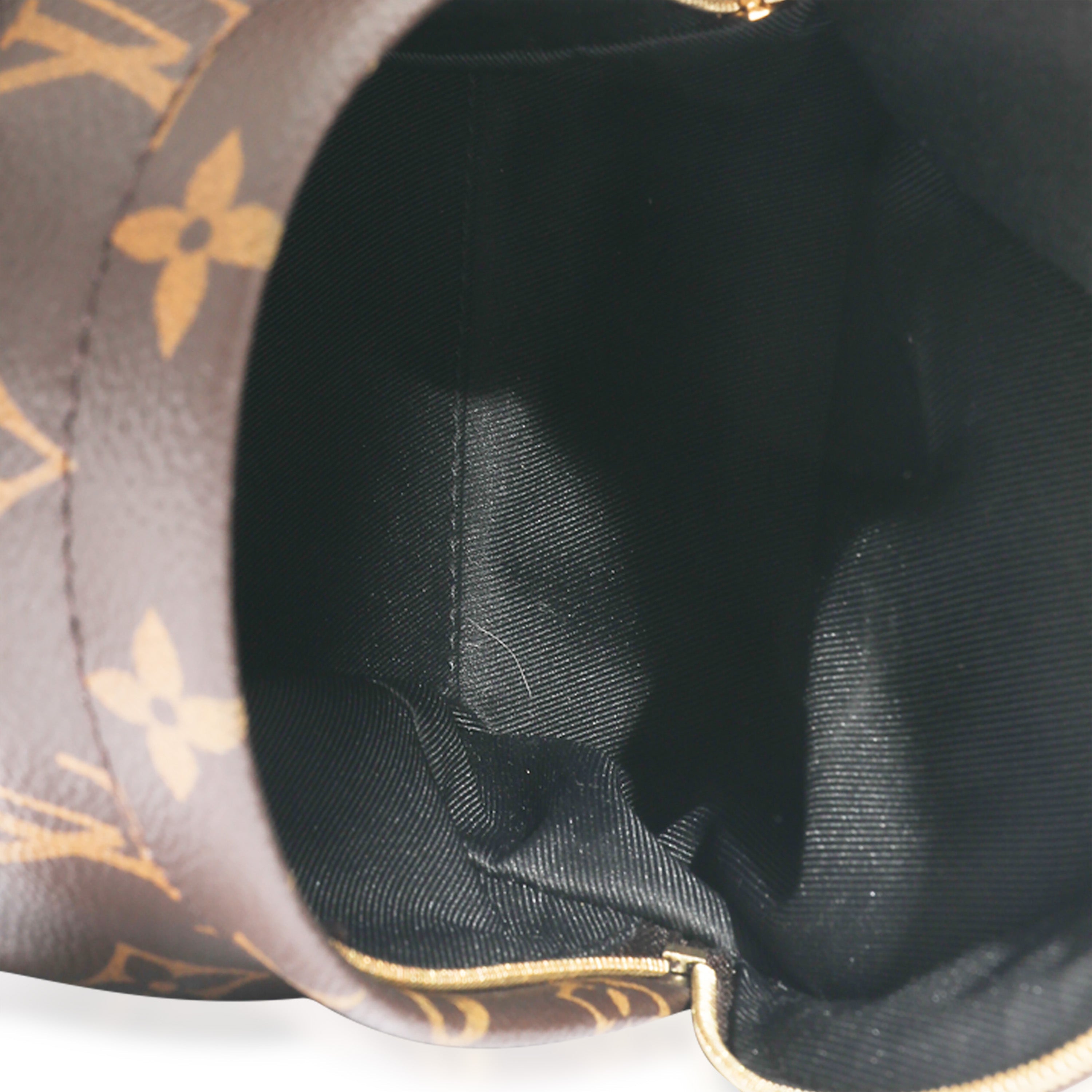 Louis Vuitton Louis Vuitton Monogram Mini Palm Spring Backpack