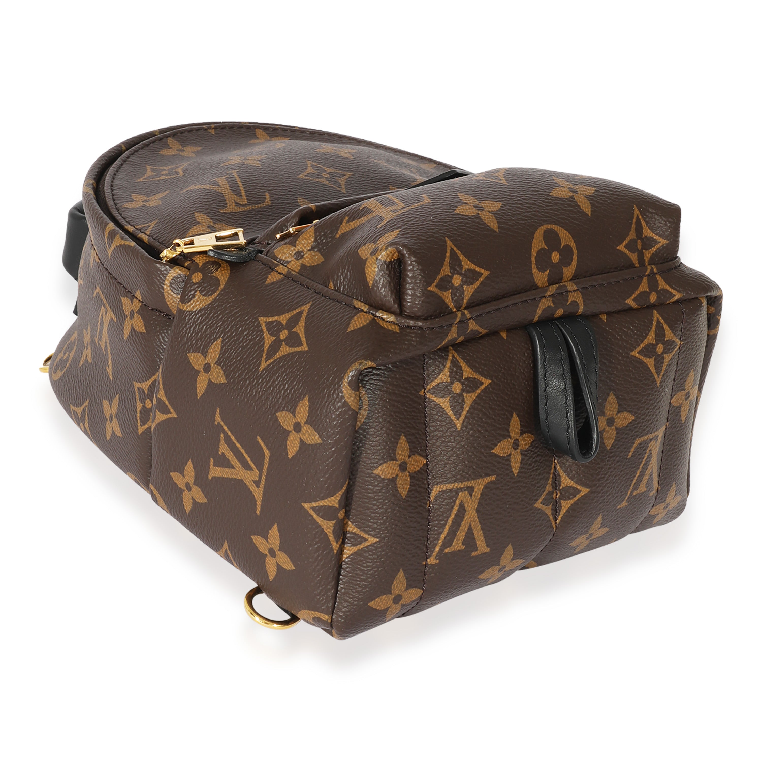 Louis Vuitton Louis Vuitton Monogram Mini Palm Spring Backpack