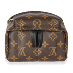 Louis Vuitton Louis Vuitton Monogram Mini Palm Spring Backpack