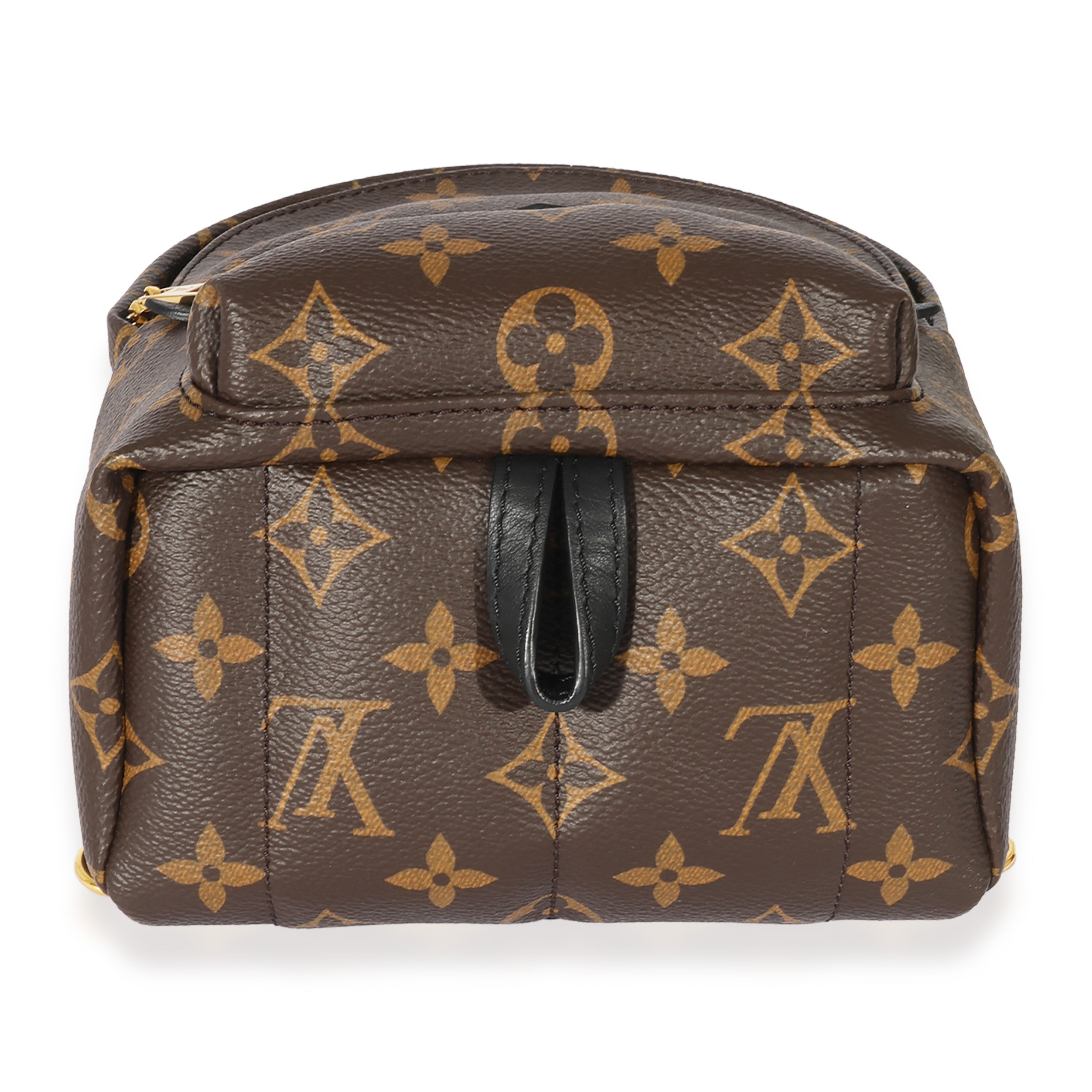 Louis Vuitton Louis Vuitton Monogram Mini Palm Spring Backpack