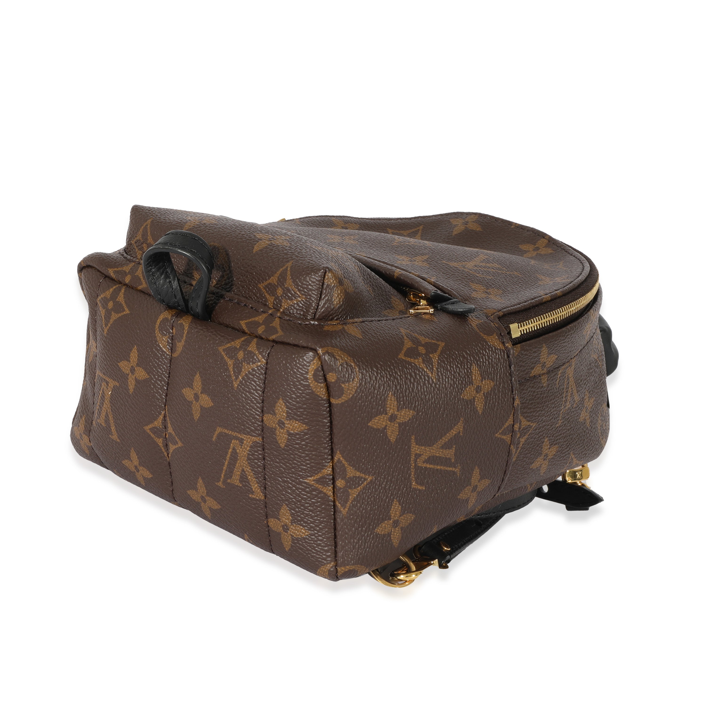 Louis Vuitton Louis Vuitton Monogram Canvas Palm Springs Mini Backpack