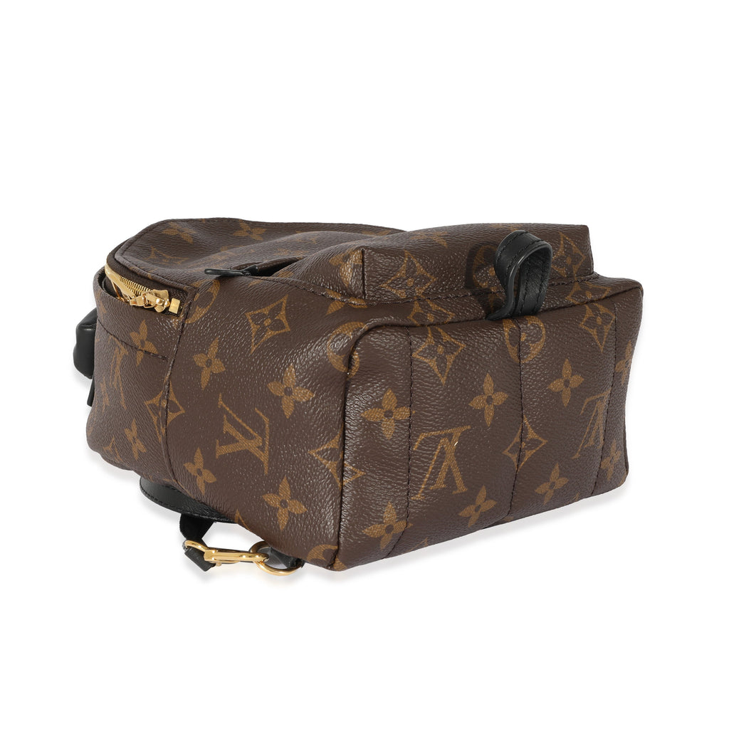 Louis Vuitton Louis Vuitton Monogram Canvas Palm Springs Mini Backpack