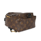 Louis Vuitton Louis Vuitton Monogram Canvas Palm Springs Mini Backpack
