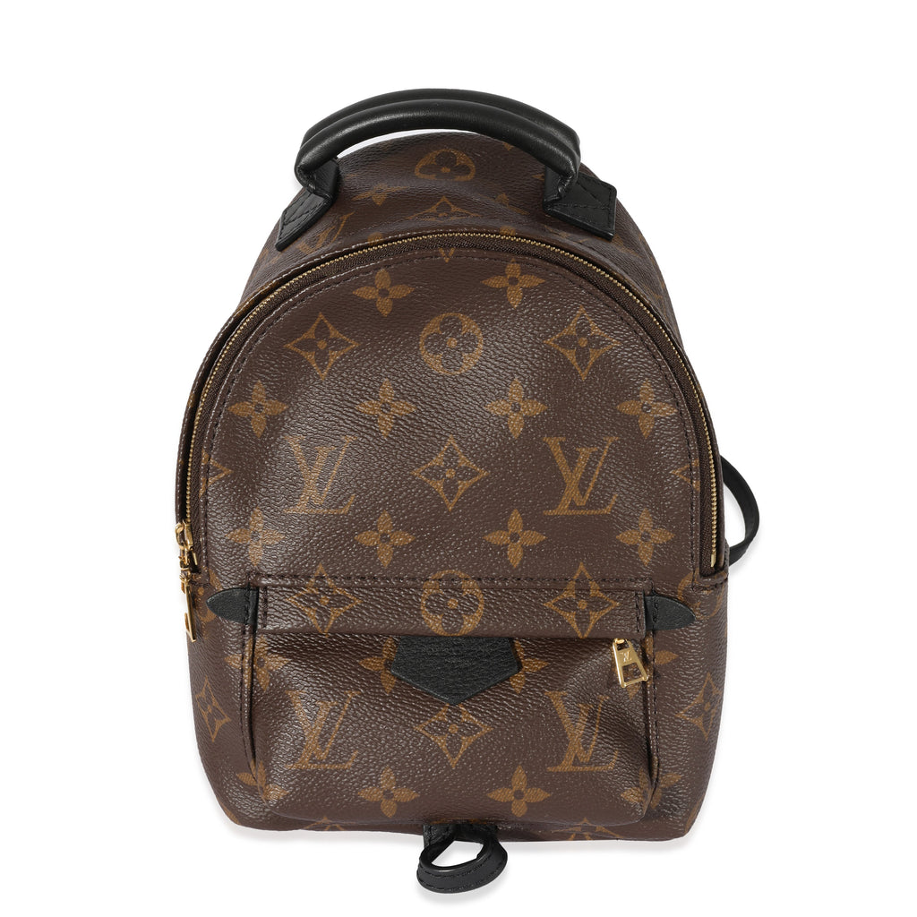 Louis Vuitton Louis Vuitton Monogram Canvas Palm Springs Mini Backpack