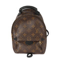 Louis Vuitton Louis Vuitton Monogram Canvas Palm Springs Mini Backpack