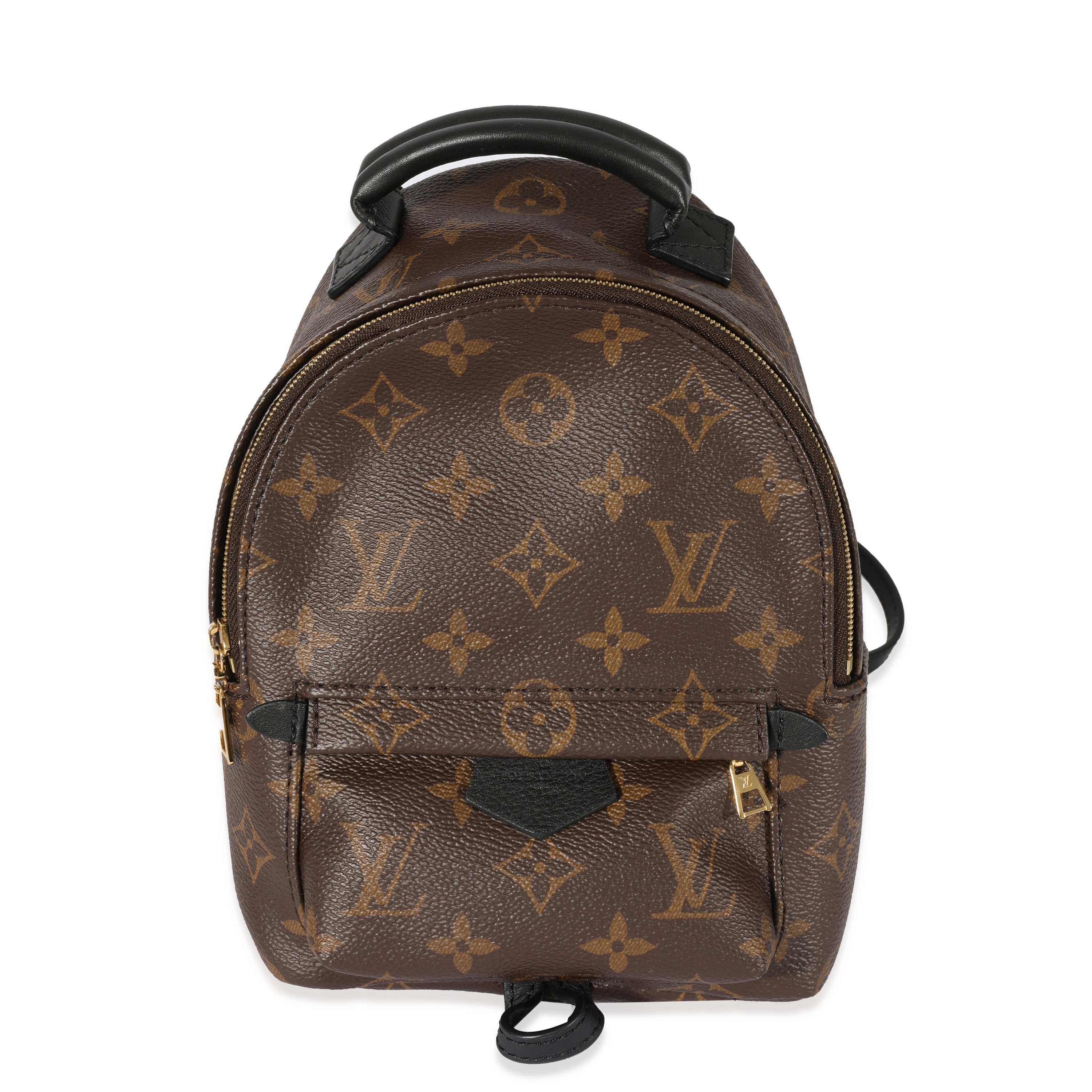 Louis Vuitton Louis Vuitton Monogram Canvas Palm Springs Mini Backpack