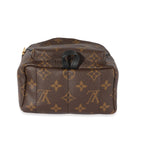 Louis Vuitton Louis Vuitton Monogram Canvas Palm Springs Mini Backpack