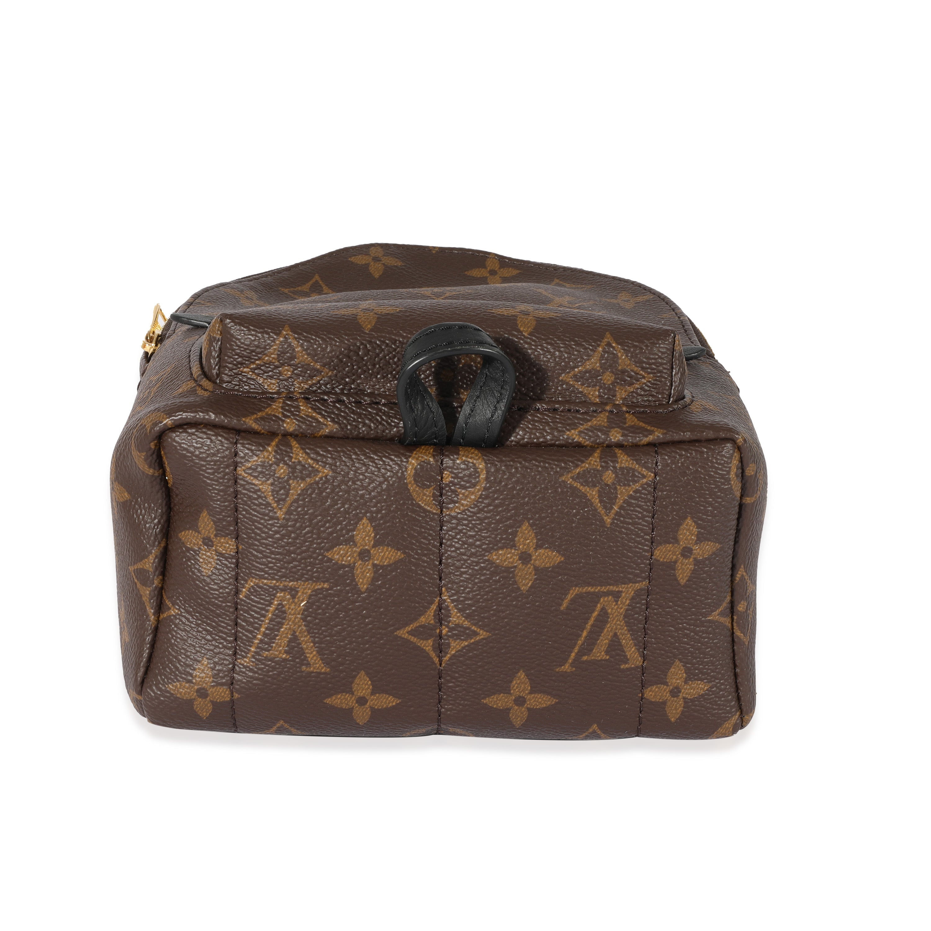 Louis Vuitton Louis Vuitton Monogram Canvas Palm Springs Mini Backpack