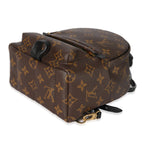 Louis Vuitton Louis Vuitton Monogram Canvas Mini Palm Springs
