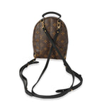 Louis Vuitton Louis Vuitton Monogram Canvas Mini Palm Springs