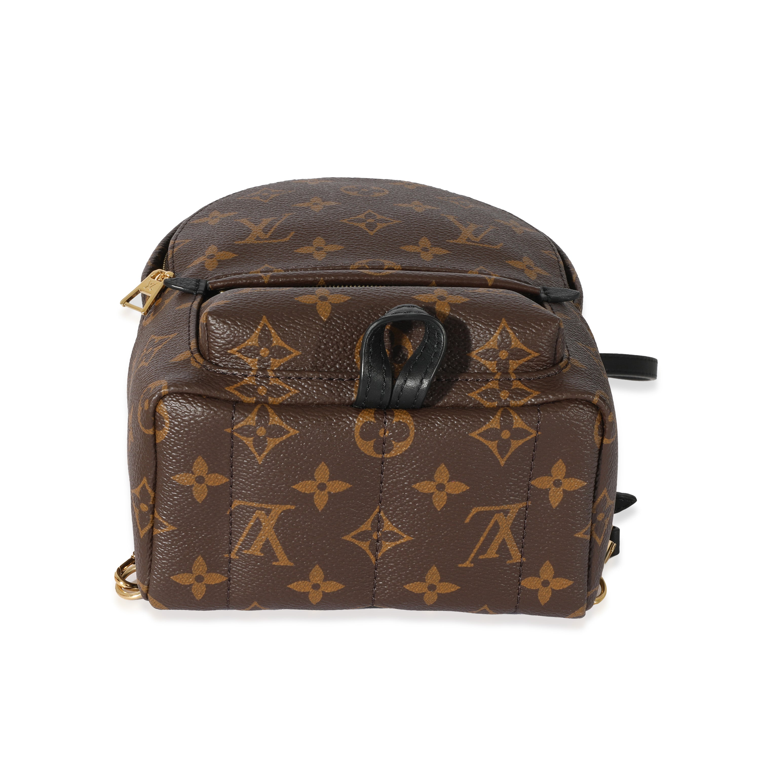 Louis Vuitton Louis Vuitton Monogram Canvas Mini Palm Springs