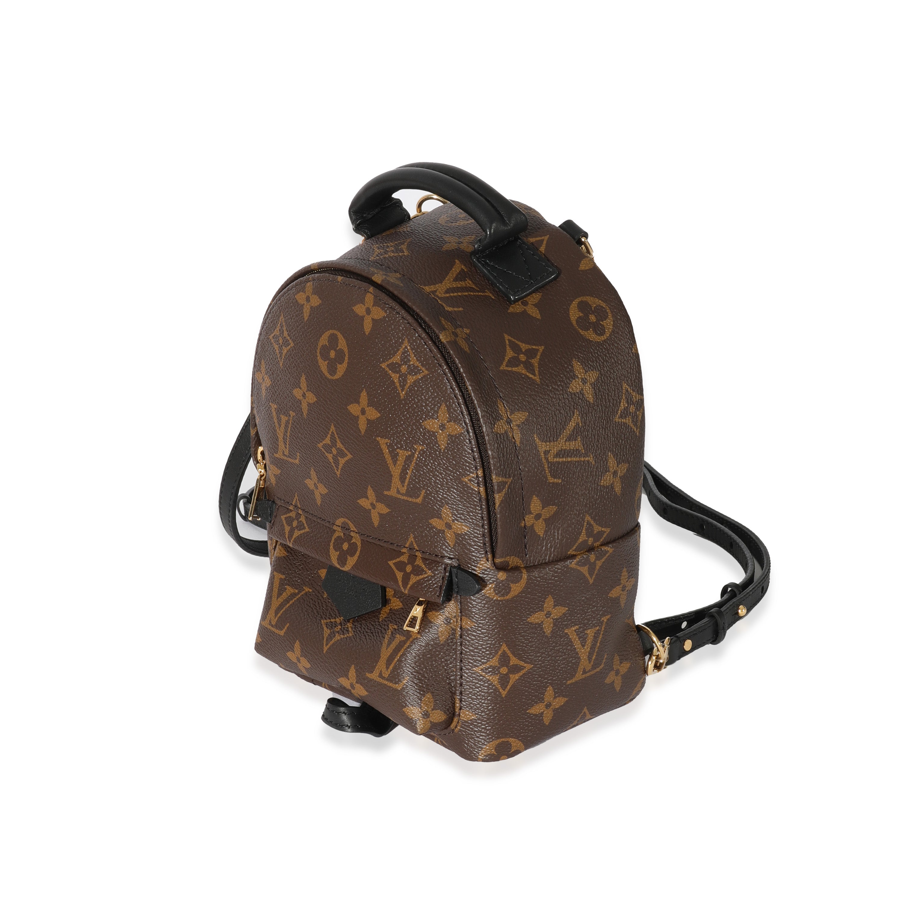 Louis Vuitton Louis Vuitton Monogram Canvas Mini Palm Springs