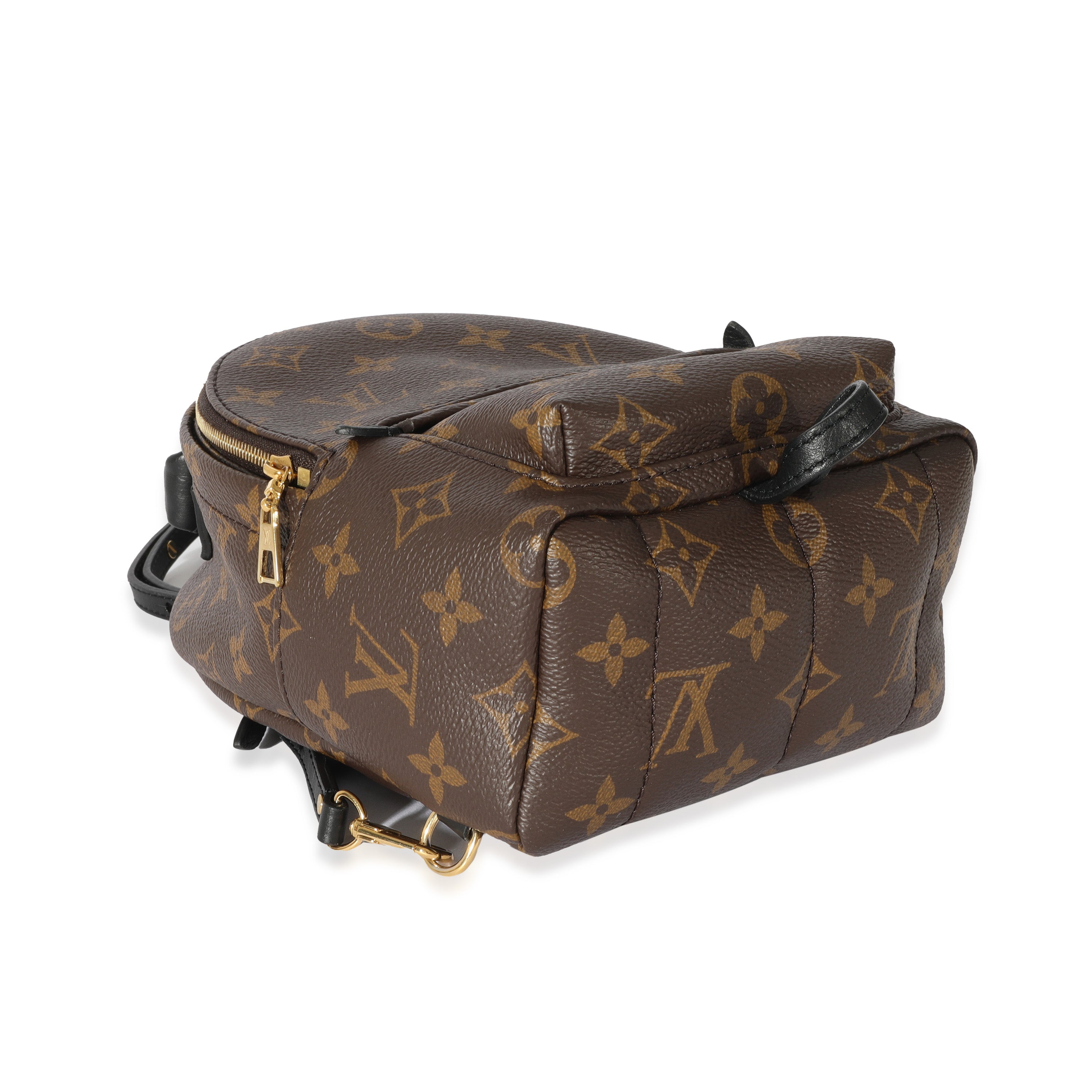 Louis Vuitton Louis Vuitton Monogram Mini Palm Spring Backpack