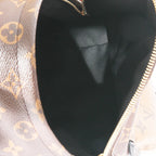Louis Vuitton Louis Vuitton Canvas Reverse Monogram Palm Spring PM