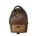 Louis Vuitton Louis Vuitton Canvas Reverse Monogram Palm Spring PM