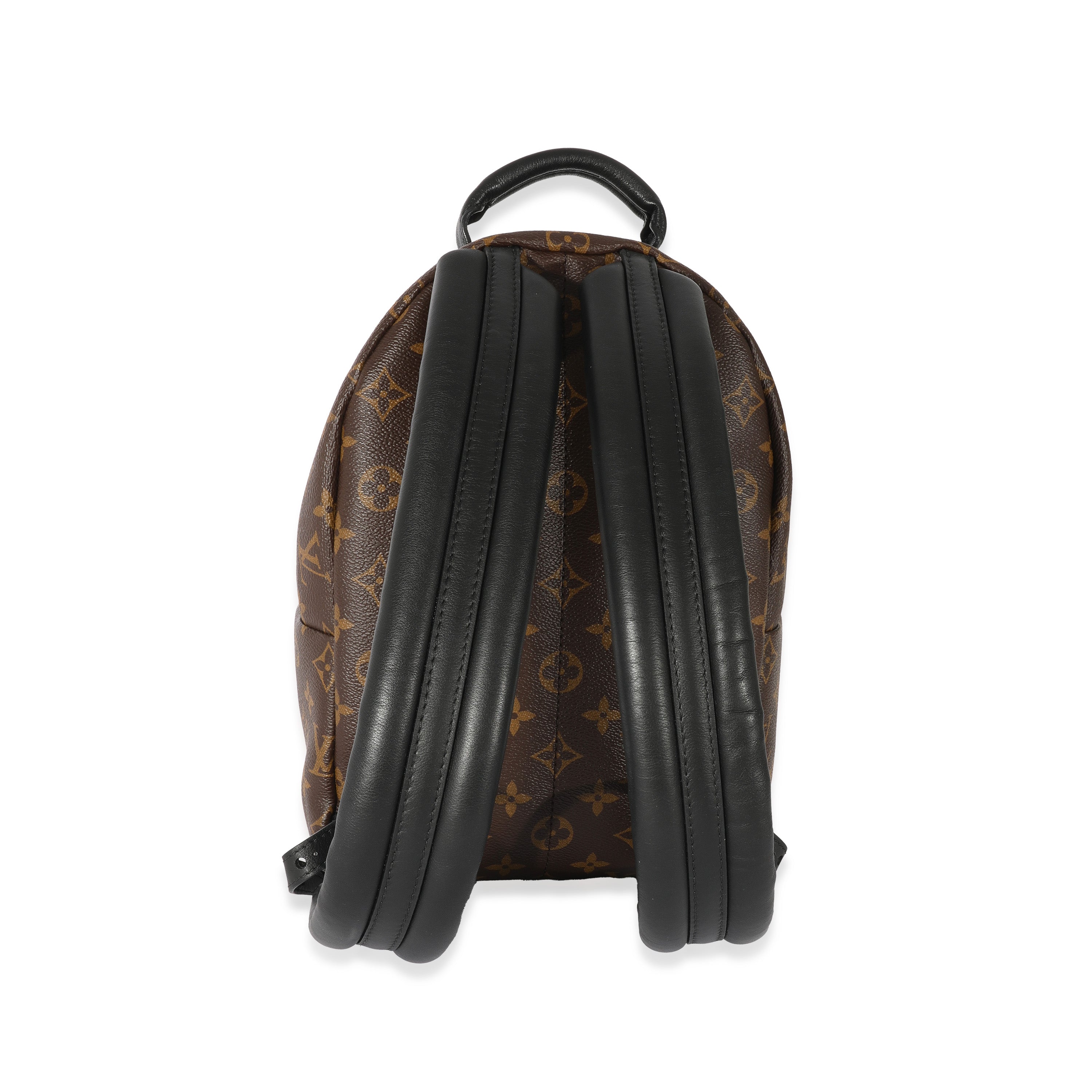Louis Vuitton Louis Vuitton Canvas Reverse Monogram Palm Spring PM