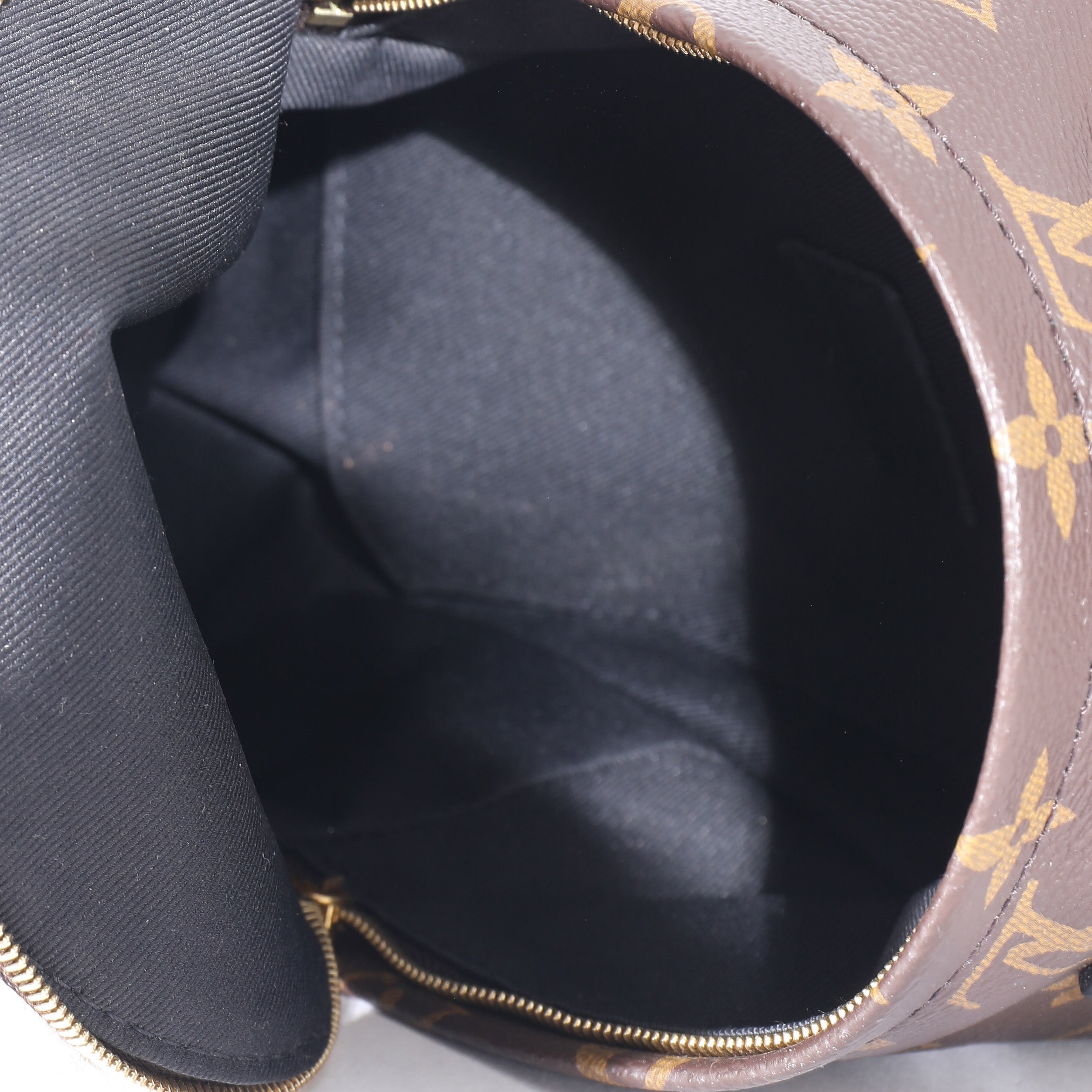 Louis Vuitton Louis Vuitton Monogram Mini Palm Spring Backpack
