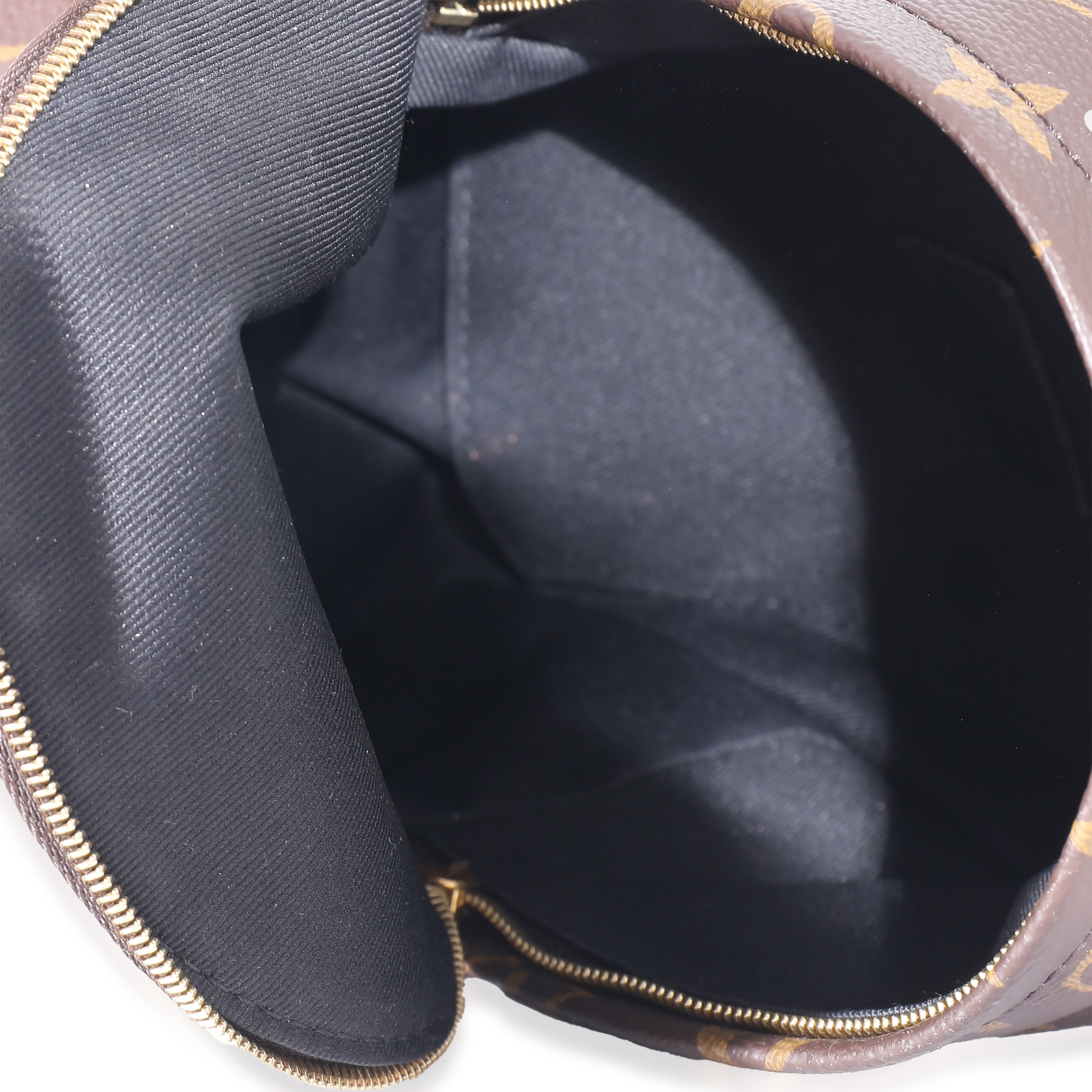 Louis Vuitton Louis Vuitton Monogram Mini Palm Spring Backpack
