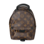 Louis Vuitton Louis Vuitton Monogram Mini Palm Spring Backpack