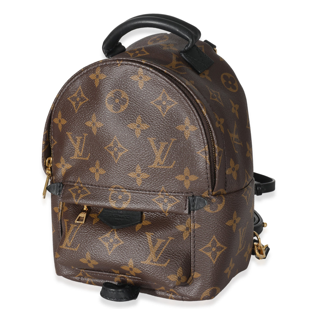 Louis Vuitton Louis Vuitton Monogram Mini Palm Spring Backpack