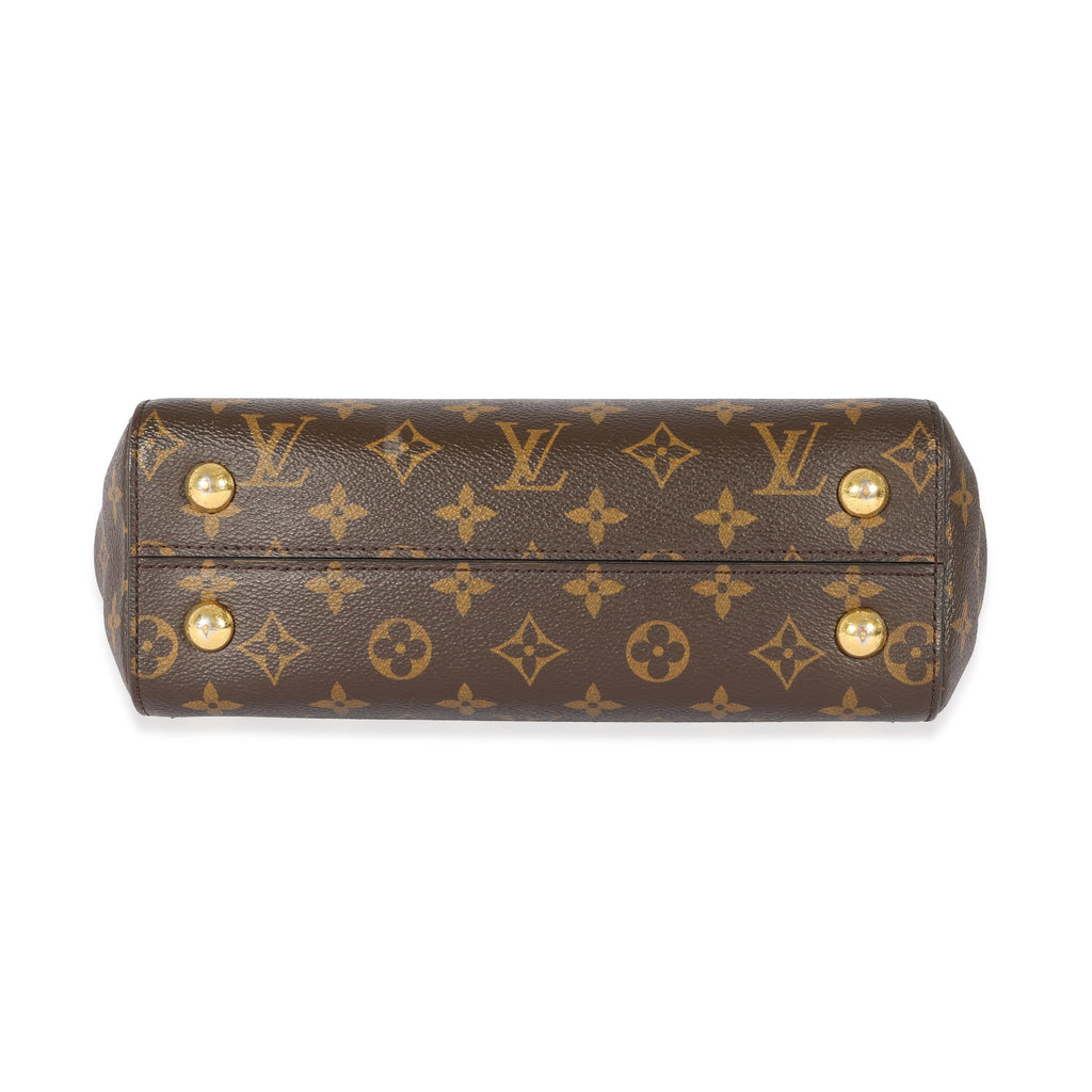 Louis Vuitton Louis Vuitton Monogram Canvas Cluny BB