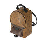 Louis Vuitton Louis Vuitton Canvas Reverse Monogram Palm Springs Mini