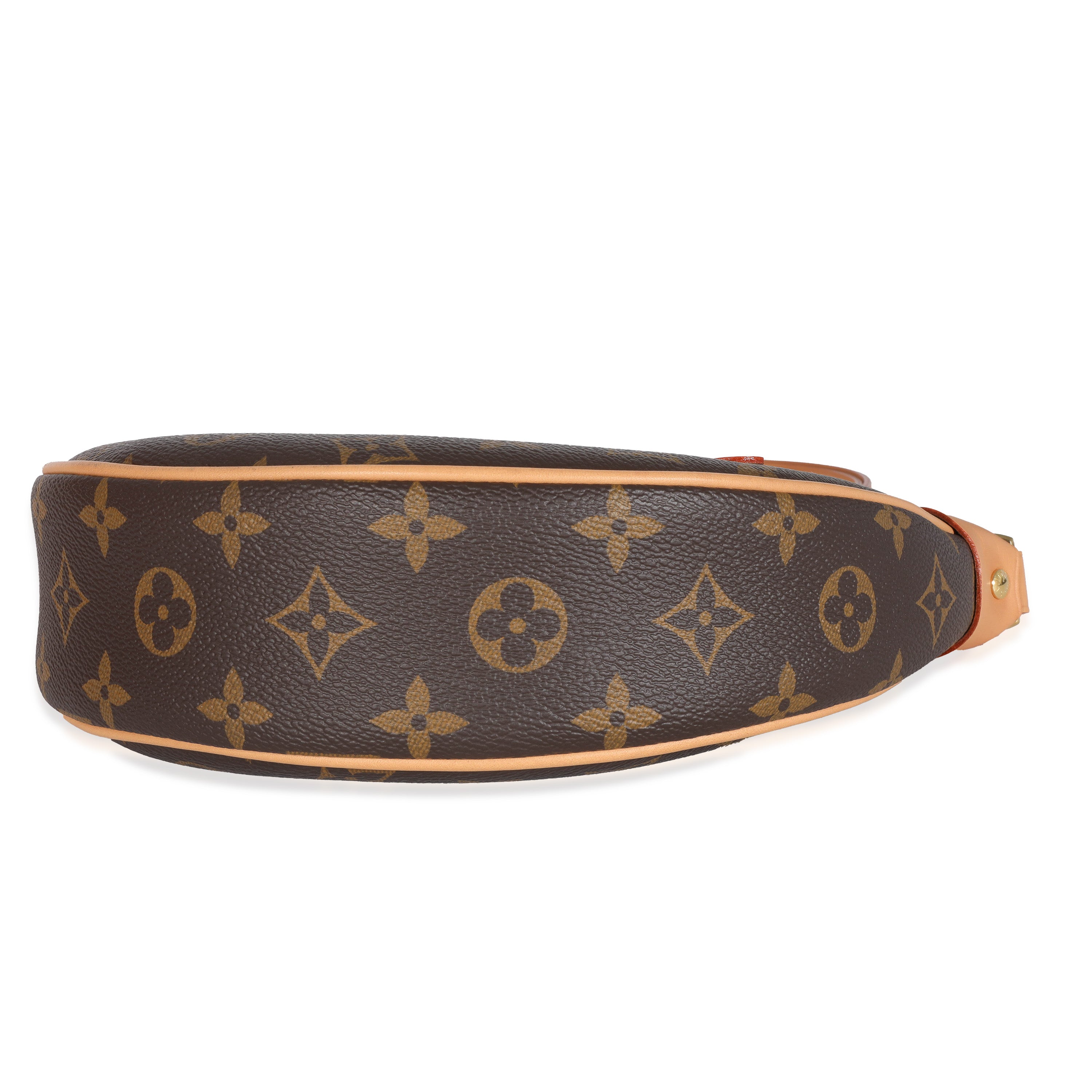 Louis Vuitton Louis Vuitton Monogram Canvas Loop Bag