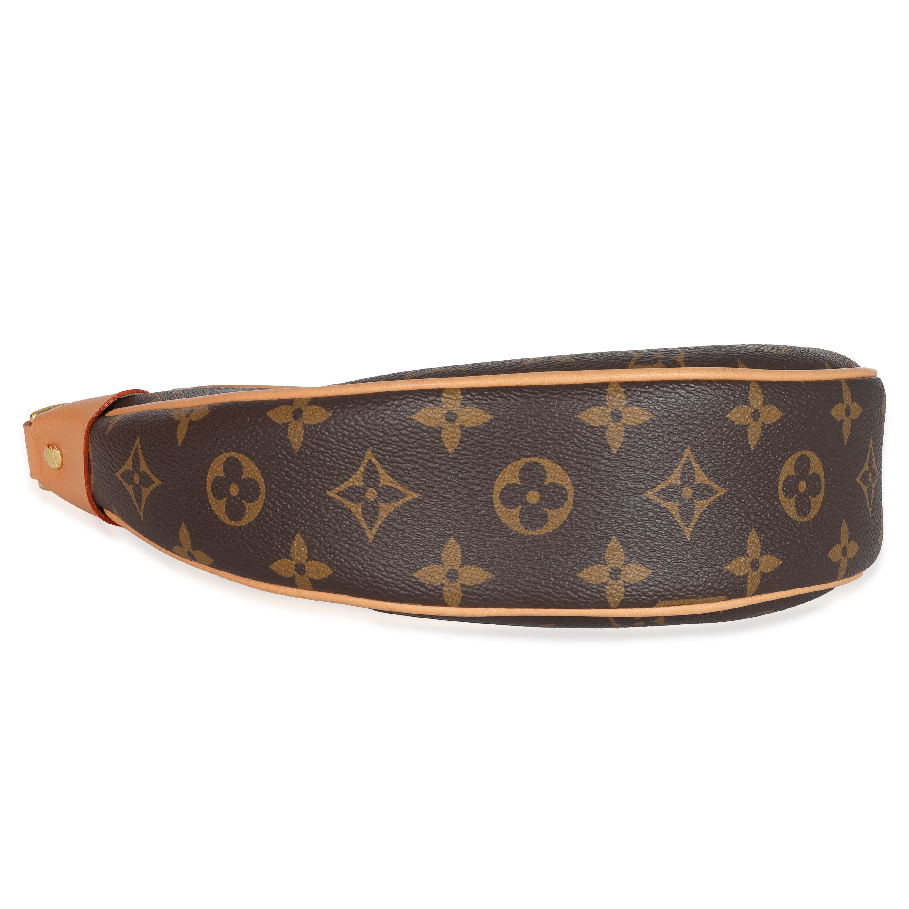 Louis Vuitton Louis Vuitton Monogram Canvas Loop Bag