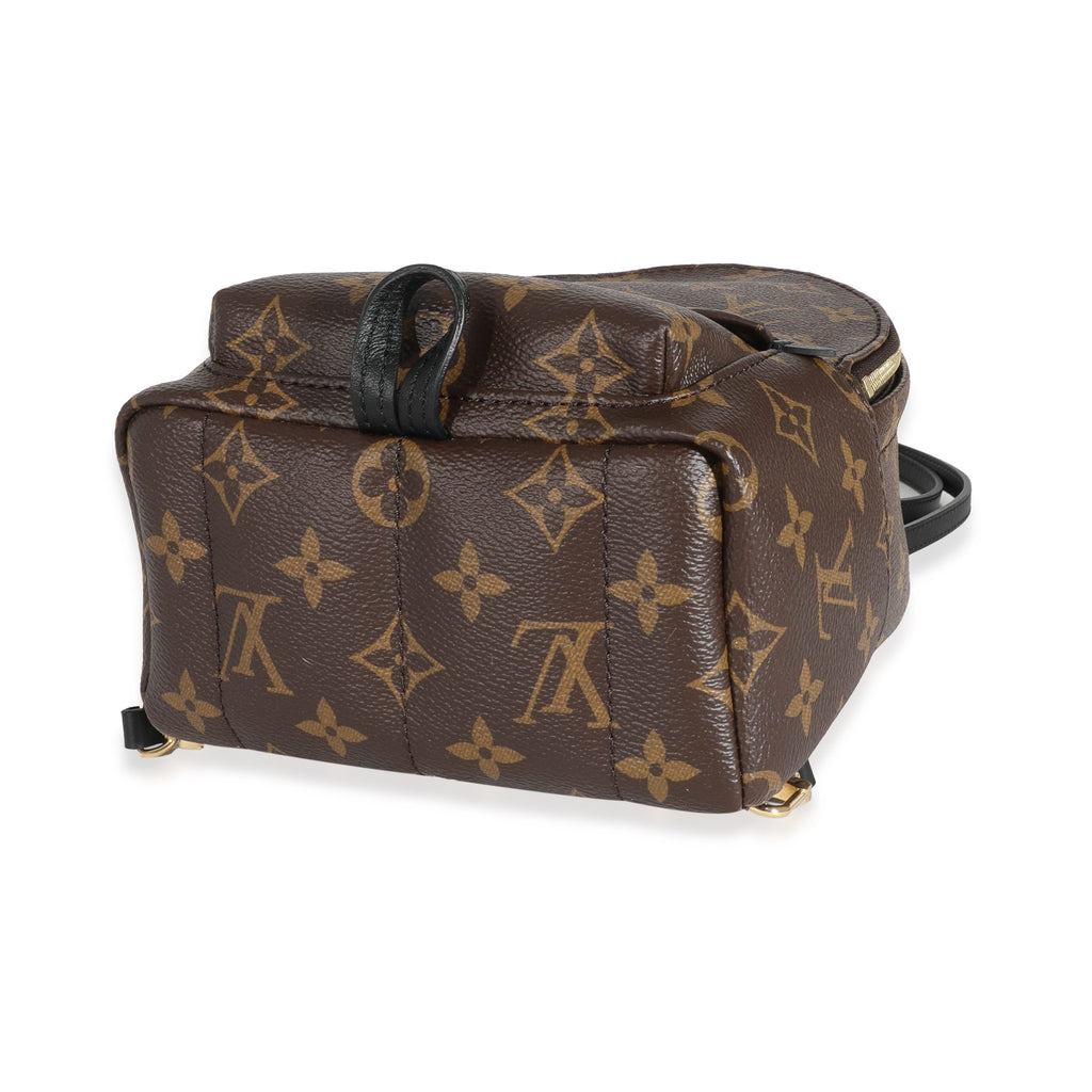 Louis Vuitton Louis Vuitton Monogram Canvas Mini Palm Spring Backpack