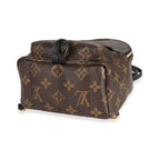 Louis Vuitton Louis Vuitton Monogram Canvas Mini Palm Spring Backpack
