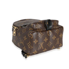 Louis Vuitton Louis Vuitton Monogram Canvas Mini Palm Spring Backpack