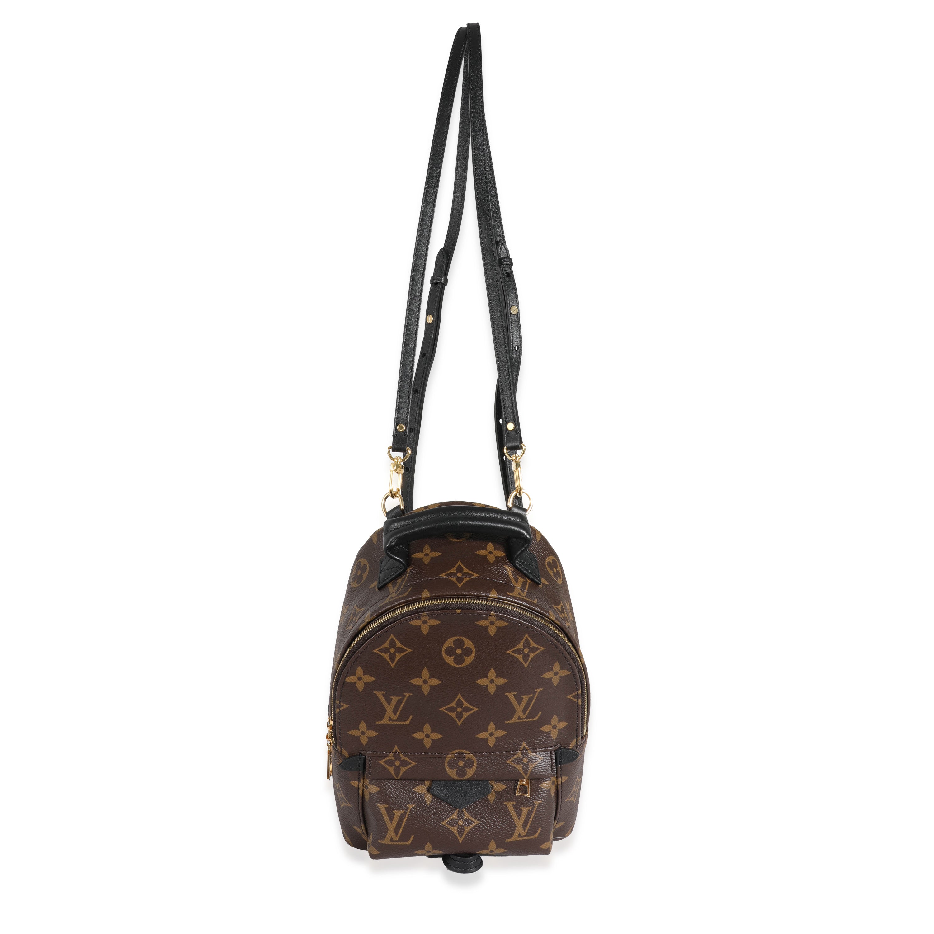 Louis Vuitton Louis Vuitton Monogram Canvas Mini Palm Spring Backpack