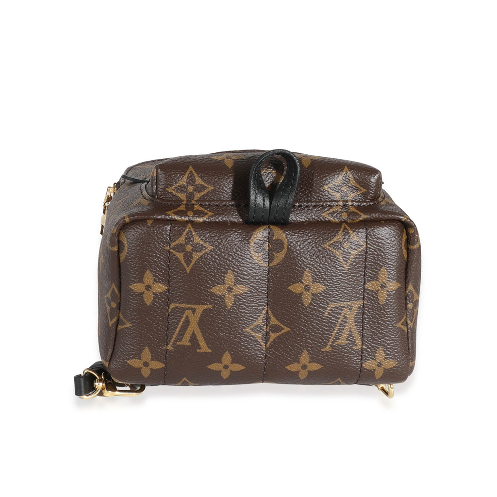 Louis Vuitton Louis Vuitton Monogram Canvas Mini Palm Spring Backpack