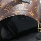 Louis Vuitton Louis Vuitton Monogram Canvas Palm Springs Mini Backpack