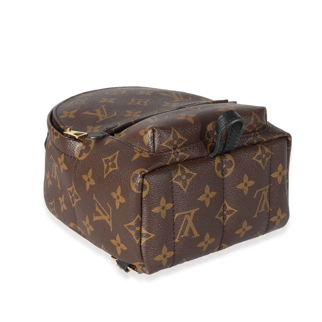Louis Vuitton Louis Vuitton Monogram Canvas Palm Springs Mini Backpack